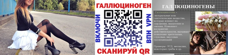 продажа наркотиков  Шенкурск  Псилоцибиновые грибы мицелий 